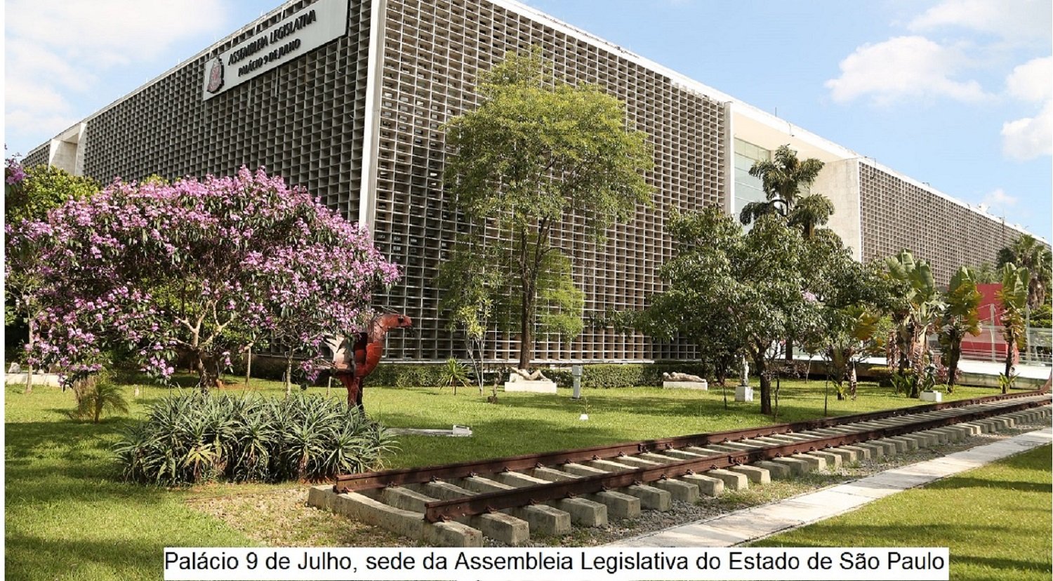 deputado estadual
